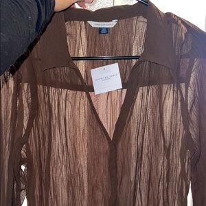 American Eagle Outfitters Sheer Brown Blouse